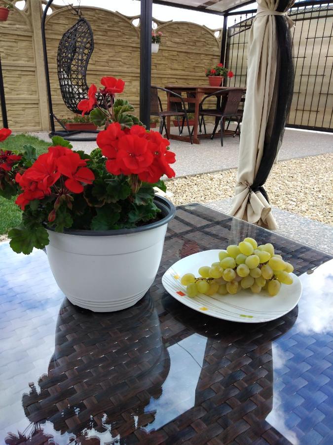 Casa Eugenia Ξενοδοχείο Vama Veche Εξωτερικό φωτογραφία
